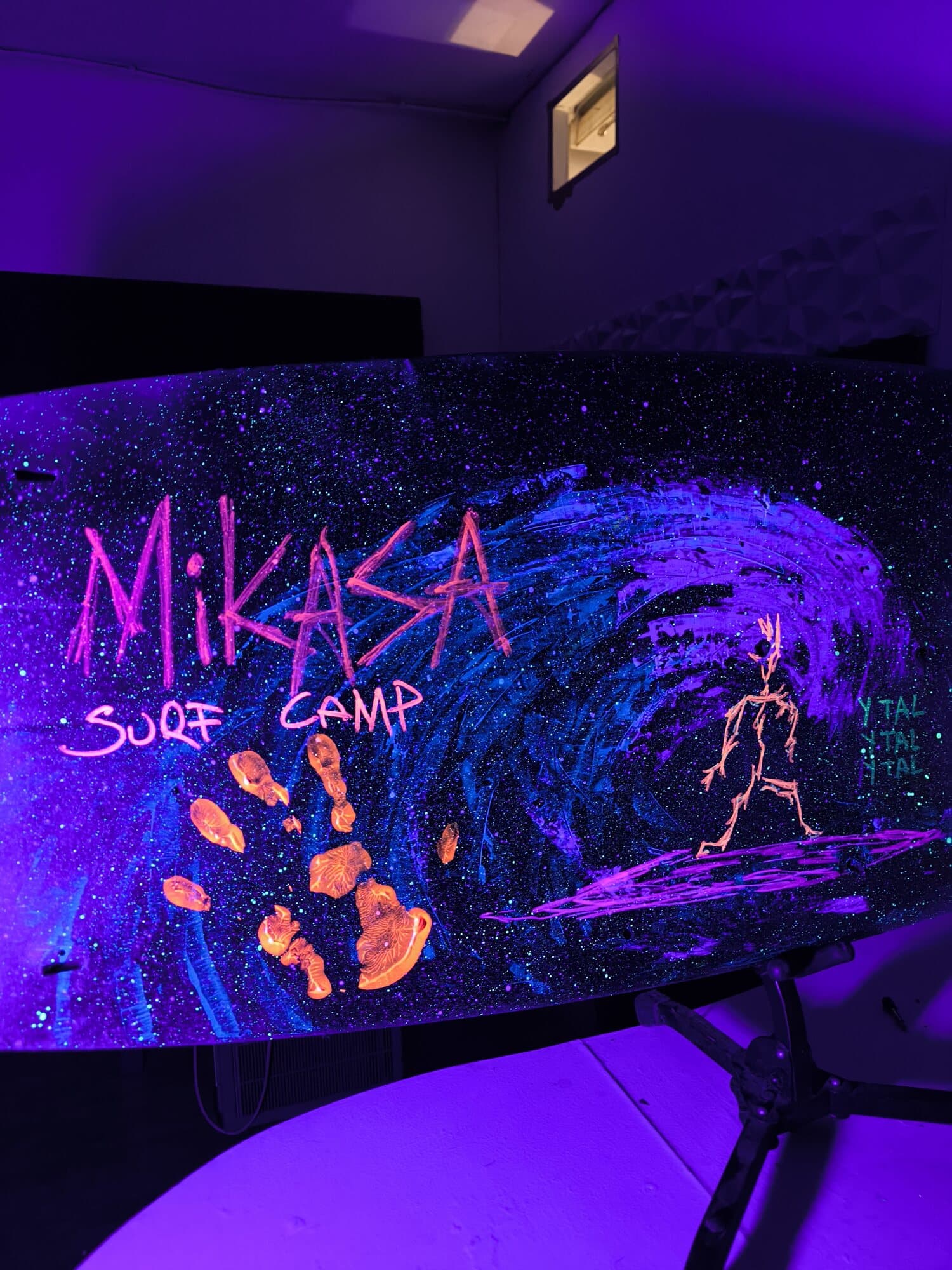 Bar y tardeos - imagen Mikasa