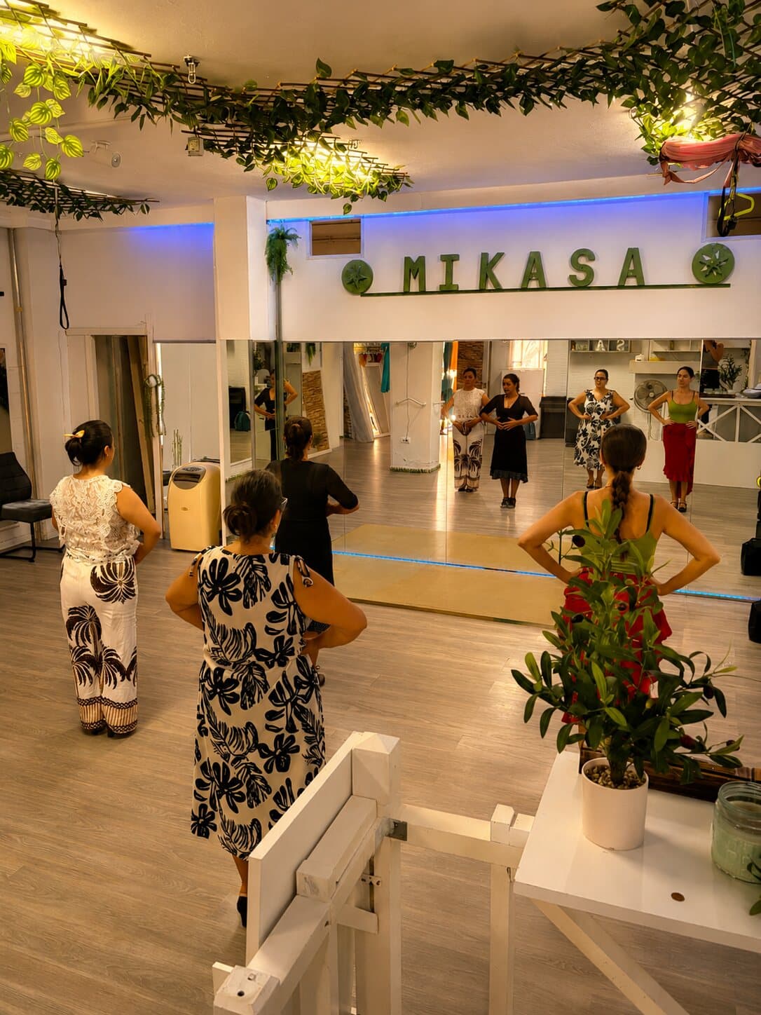 Comunidad y encuentros - imagen Mikasa